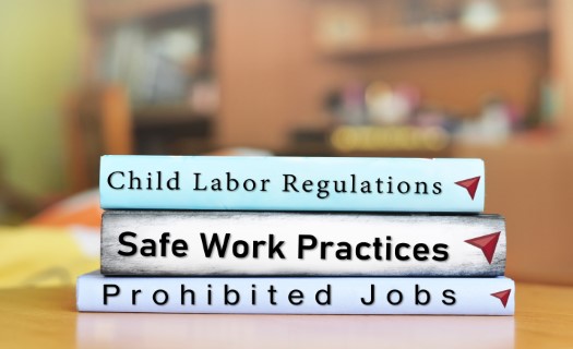 3 Books, with the following titles: "Child Labor Regulations," "Safe Work Practices," "Prohibited Jobs,"