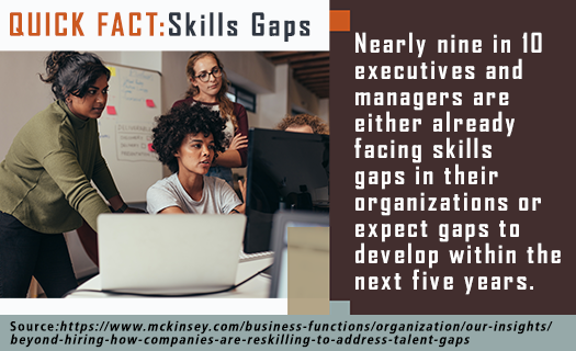 Quick-Fact-Skill Gap.png